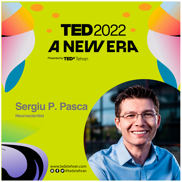 Sergiu P. Pasca - TEDxTehran